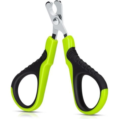 QORVA-Ciseaux à ongles professionnels pour chats, lapins et petits animaux, coupe-griffes pour chats, ciseaux courbés en acier inoxydable, ciseaux coupe-griffes pour chats