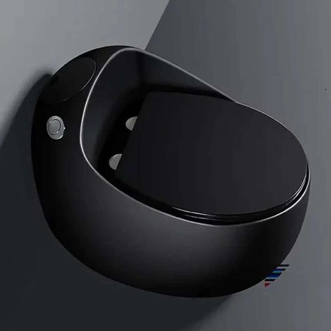 Toilette Monobloc sans bride, noir (1/5)