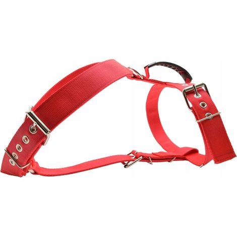 Arnés de protección resistente para perros Nelson-X Power para perros grandes (talla L) (1/5)