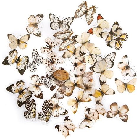 Pegatinas PET - Mariposas en blanco y negro (40 unidades)