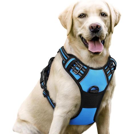 Harnais chien anti-traction Rabbitgoo L bleu clair réglable réfléchissant attache avant (1/5)