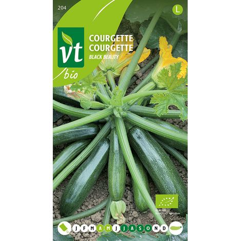 Bio Courgette Black Beauty - Ca. 1,5 gr (Livraison Gratuite) (1/2)