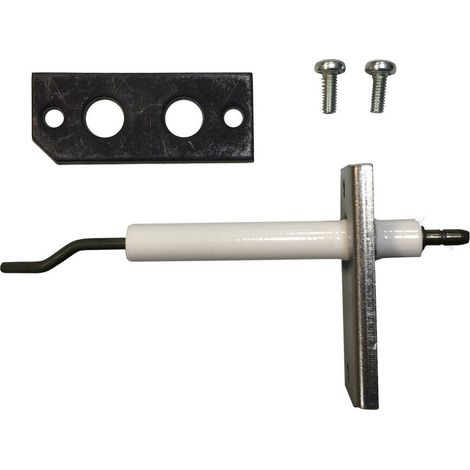BOSCH Electrodo de vigilancia VM1.0 15-50 everp, 8738803648