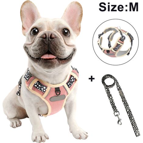 Harnais de poitrine pour chien avec corde de traction, gilet respirant pour animaux de compagnie pour la promenade, le dressage et le contrôle en extérieur pour les races moyennes et grandes.