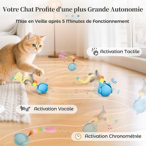 Jouet pour Chat, Balle Roulante Électrique avec Queue en Plumes pour Chats d'Intérieur, Jouet Rebondissant et Gazouillant Activé par Le Mouvement, Rechargeable par USB, Bleu (1/4)
