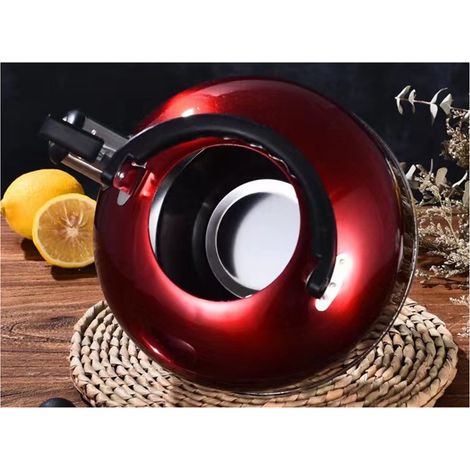 Bouilloire de 3 litres en acier inoxydable avec sifflet (1/5)