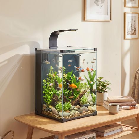 Aquarium en Verre Trempé Nano Aquarium avec Filtre Intégré Pompe 5W et Éclairage LED 30x30x45cm Noir