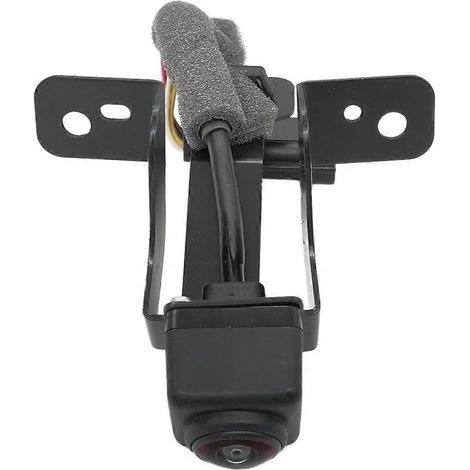 Coque de rétroviseur latéral pour Ford F150 (1/5)