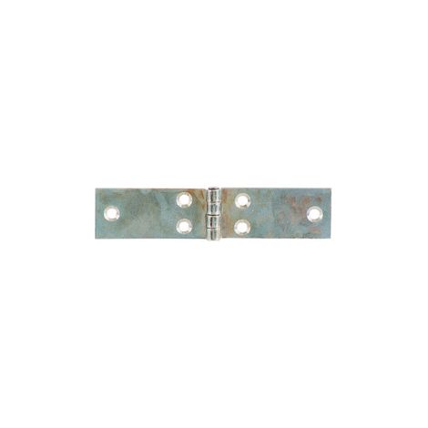 BL CERNIERA PERNO FISSO LUNGA 100X25 MM DA 2 PZ- ALDEGHI LUIGI SPA- 6,0 blister
