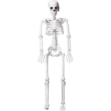 Scheletro Halloween 90 cm PERAGA CHRISTMAS