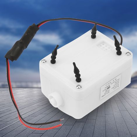 Elektrische Luftpumpe (12 V DC, 4,5 W, 22 kPa, 7,5 l/min) für Ozongenerator (1/5)