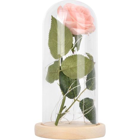 Lampe LED Rose en Verre Champagne - Idée Cadeau Saint-Valentin & Mariage (1/5)