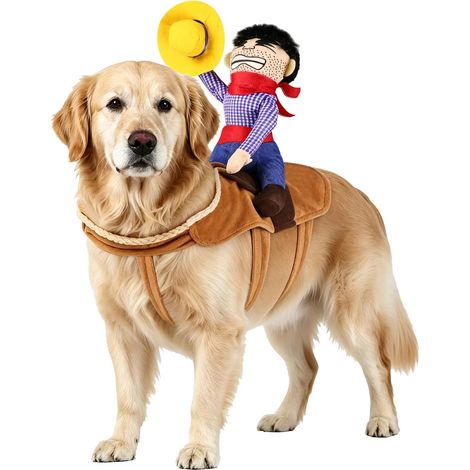 Costume de cow-boy pour chien, déguisement Halloween réglable (1/5)