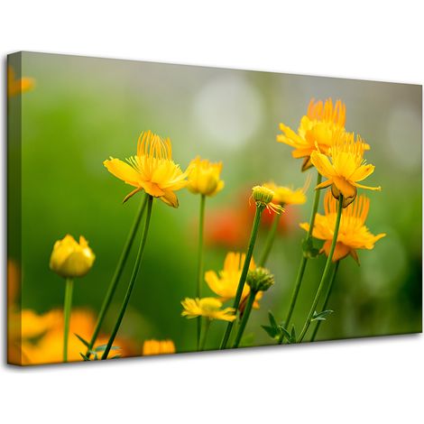 Stampa su tela Botanica Fiori gialli 80x50 cm