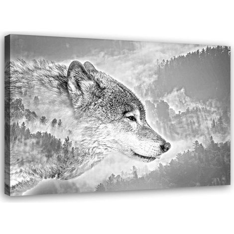 Tableau sur toile Loup Animal Brouillard Forêt Nature 60x40 (1/5)