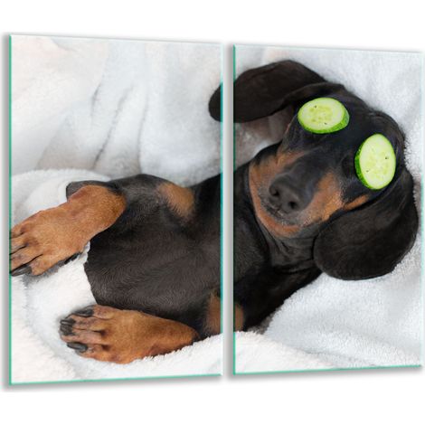 Dog del tagliere di vetro 2x 30x52 (1/5)