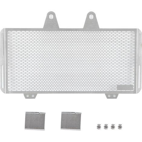 Modification moto 2014-2017 R Nine T : Grille de radiateur/Grille de réservoir d'eau en acier inoxydable (1/5)