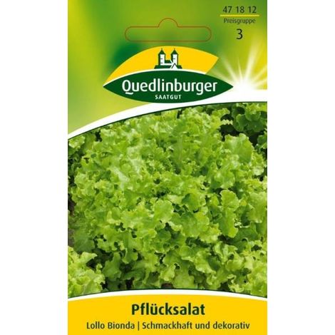 Quedlinburger Pflücksalat Lollo bionda - Gemüsesamen (1/2)