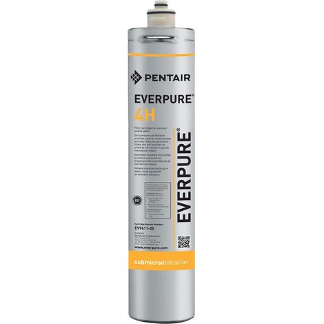 Filtro per acqua Everpure 4H EV9611-00