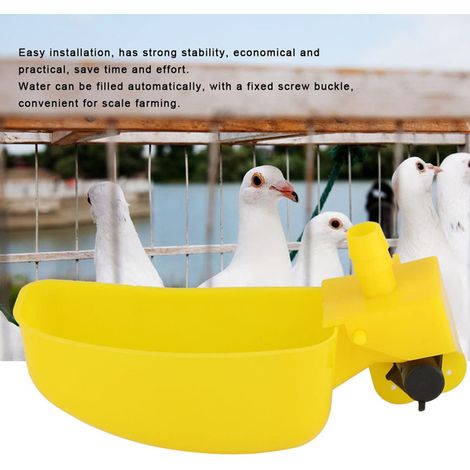 Abreuvoir Automatique pour Volailles et Pigeons - Système d'abreuvement pour Cage avec Remplissage Automatique - Pack de 12 Unités (1/5)