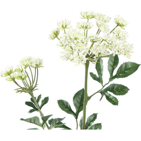 Fleur Artificielle Ammi Blanche en Polyester Haute Tige 74cm (1/2)
