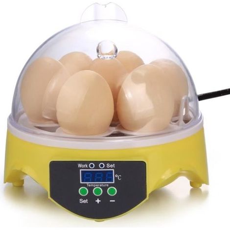Incubateur oeufs Hatcher 7 oeufs incubateur éclosion numérique Mini poulet canard oeufs (1/4)