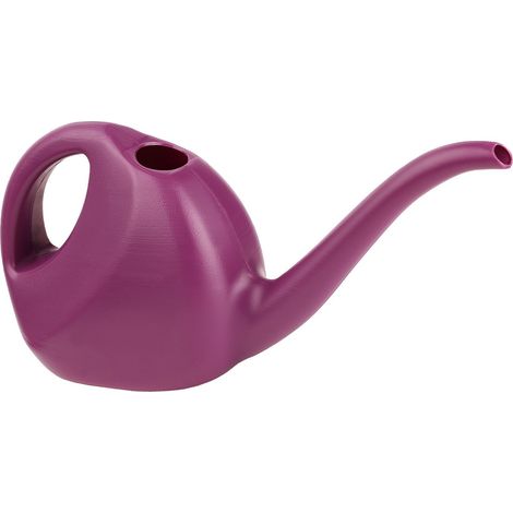 Garronda Gießkanne Zimmerpflanzen Innen, Gießkanne klein Plastik, Bewässerung für Zimmerpflanzen, Gieskanne für Haushalt GD-0045 (Violett, 2 Liter)