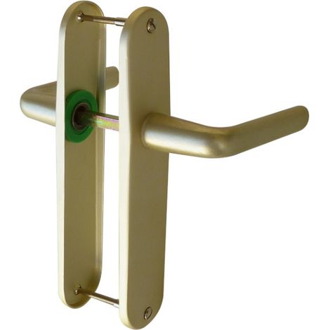 Ensamble de Puerta de Champagne con Cerradura V01 0202ch-jacinto 165