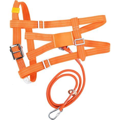 Ceinture de sécurité 6 points ajustable pour travaux en hauteur, escalade, sauvetage et accrobranche, avec mousqueton et corde de 3 mètres. (1/5)