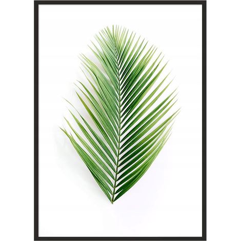 Bildplakat im Rahmen 53x73 cm Blatt P1003 (1/4)