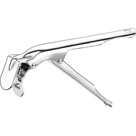 Online Store - Pince à griller en acier inoxydable, pince à plaque de cuisson, poignée pour barbecue au charbon de bois (1 pièce, argentée) (1/5)