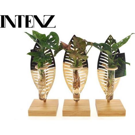 Plante d’Intérieur en Verre Composition Végétale Décorative 1 Pièce Ø7 cm Hauteur 10 cm - PANGIVO