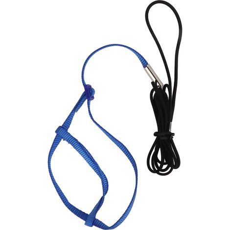 Harnais Pour Perroquet - Laisse Réglable En Nylon Avec Crochet Métallique - Pour Oiseaux De Taille XL - Couleur Bleu Royal (1/5)
