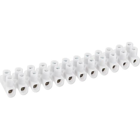 Lüsterklemme 6 mm² - 12-fach - 2 Schrauben je Klemme