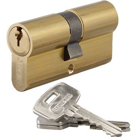 Cylindre de Serrure Profilé STD 35x45mm - Système de Sécurité Double Entrée Laiton - Usage Porte d'Entrée - Livré avec 3 Clés Crantées (1/2)