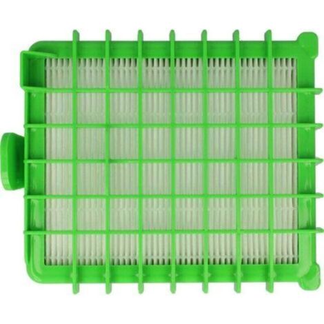 Filtre compatible avec les aspirateurs Rowenta RO542111/410, RO5423EA/410, RO544111/410, RO544511 – Filtre HEPA pour le soulagement des symptômes d'allergie (1/4)