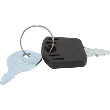 Chiave avviamento indak BRIGGS ET STRATTON 1717163SM