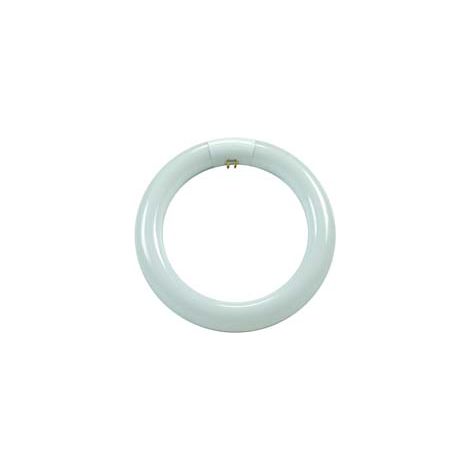 Circoline Trifosforo Fluorescenti T9 G10Q 40 W 4200 °k Naturale 3 Pezzi