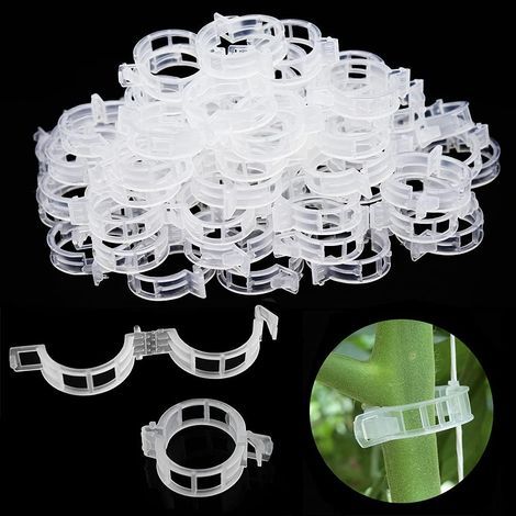 CCYKXA 200pcs tomato stakes, plant supports, climbing plant supports, monstera trellis, climbing plant supports, plant support clips, for vegetables, plants, tomatoes