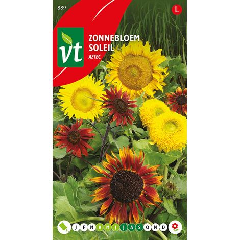Tournesol Aztec - Ca. 1,25 gr (Livraison Gratuite) (1/2)