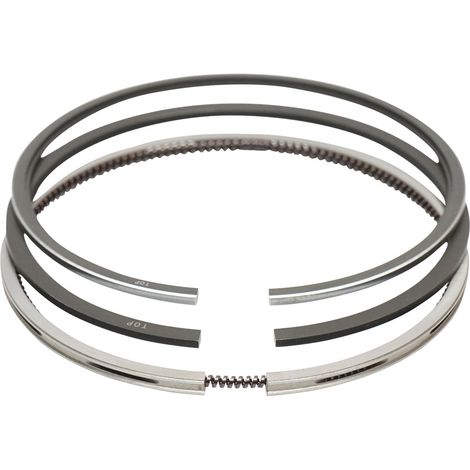 Segmenti per Fiat, New Holland codice OEM 1902050, 82982153, 1930169, 1908738 Breckner Germany (1/4)