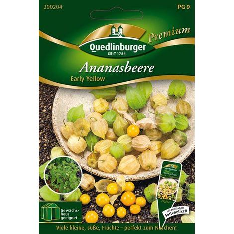 Quedlinburger Ananasbeere Early Yellow - Gemüsesamen