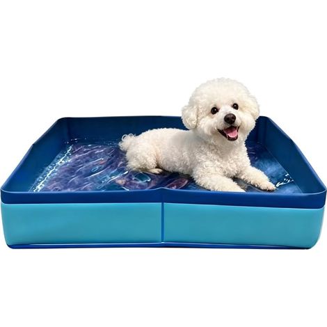 Piscine de bain pour animaux – Bassin pliable et étanche en PVC (dimensions : 50 x 50 x 10 cm) avec parois renforcées – Idéal pour rafraîchir et laver les chiots et petits chiens en extérieur. (1/5)