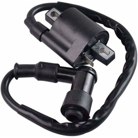 Bobine d’allumage noir Compatible avec Yamaha PW50 PY50 PEEWEE PY PW 50 Dirt Pit Bike Parts (1/4)