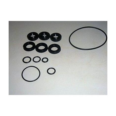 KIT TENUTE OLIO/ACQUA POMPE IDROPULITRICI ANNOVI REVERBERI BLACK&DECKER 2509 (1/2)