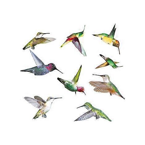 3D-Antikollisionsaufkleber für Vögel, Fensteraufkleber, neue Kolibri-Aufkleber, Aufkleber zur Vermeidung von Kollisionen, Fenster, Balkon, Terrasse, Veranda