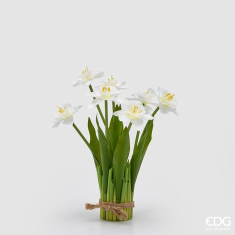 EDG Mazzo Narciso Bianco 7 Fiori Con Foglie H 28 (1/4)