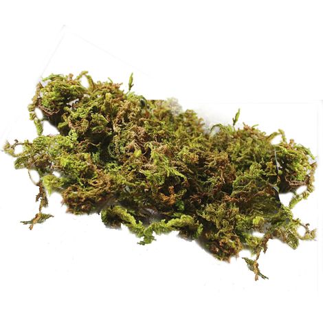 Pierres recouvertes de mousse verte, rochers de mousse artificielle, fausses pierres de mousse décoratives pour mariage, décoration de pots de fleurs et jardin, fleurs séchées à faire soi-même (1/5)