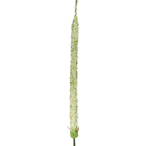Una ramita larga de ajo blanco ornamental (1/3)