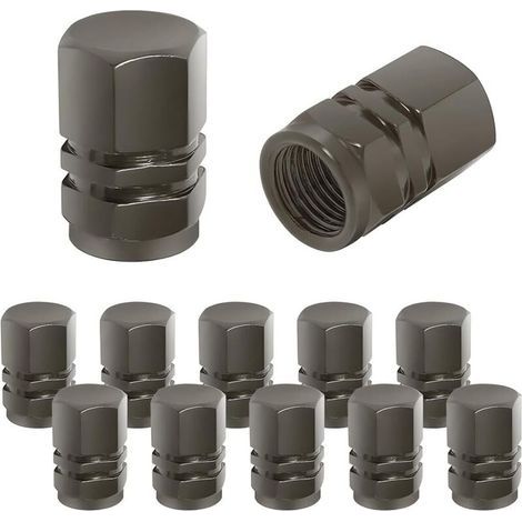 Bouchon Valve Pneu Voiture, 12 Pièces de Cache-poussière de Roue de Voiture en Aluminium, Imperméable et Anti-Résistant, Valve de Pneu Universelle pour Voitures, Camions, Motos (Gris) (1/5)